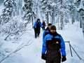 Rovaniemi: Riisitunturi National Park Tour & BBQ - Small Group