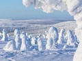 Rovaniemi: Riisitunturi National Park Tour & BBQ - Small Group