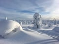 Rovaniemi: Riisitunturi National Park Tour & BBQ - Small Group