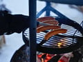 Rovaniemi: Riisitunturi National Park Tour & BBQ - Small Group