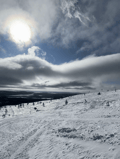 Private Ski Adventure in Pallas National Park
