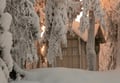Snowshoe Explorer: Short Journey in Levi