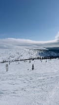 Private Ski Adventure in Pallas National Park