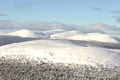 Private Ski Adventure in Pallas National Park