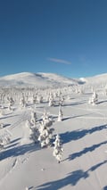 Private Ski Adventure in Pallas National Park