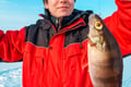 Ice fishing like a local
