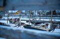 By snowmobile to the reindeer farm - Private group
