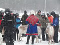 By snowmobile to the reindeer farm - Private group