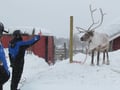 By snowmobile to the reindeer farm - Private group