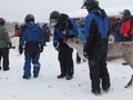 By snowmobile to the reindeer farm - Private group