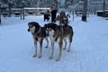 3-Day Lapland Adventure: Northern Lights, Huskies, Reindeer & Snowmobile