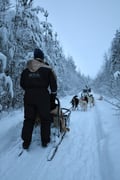 Husky Ride, Reindeer Ride and Snowmobiling Day Experience