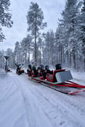 3-Day Lapland Adventure: Northern Lights, Huskies, Reindeer & Snowmobile