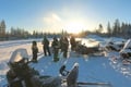Reindeer Short Ride
