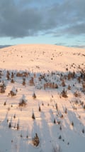 Snowshoe Explorer: Short Adventure in Levi