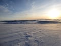 Snowmobiling with a local guide in Paistunturi Wilderness area (Utsjoki)