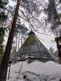 Helsinki Highlights and Nuuksio Reindeer Park
