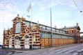 Nordic Sovereignty: Your Private Curated Walking Chronology