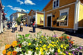 The Island Escape: Helsinki City & Seurasaari Open-Air Museum****