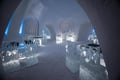 Lainio Snow Village with Ice Restaurant Dinner, Levi