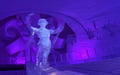 Lainio Snow Village Tour from Levi — Guided Visit