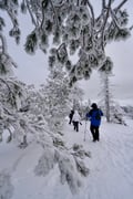 Trip to Riisitunturi National Park