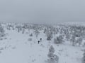 Trip to Riisitunturi National Park