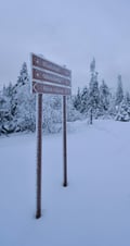 Trip to Riisitunturi National Park