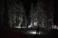Private Snowshoe Adventure (Half Day)
