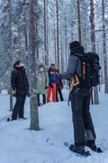 Private Snowshoe Adventure (Half Day)