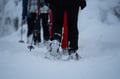 Private Snowshoe Adventure (Half Day)