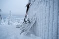 Private Snowshoe Adventure (Half Day)