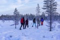 Private Snowshoe Adventure (Half Day)