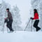 Private Snowshoe Adventure (Half Day)