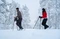 Private Snowshoe Adventure (Half Day)