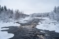 Private Snowshoe Adventure (Half Day)