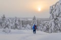Private Snowshoe Adventure (Half Day)