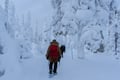Private Snowshoe Adventure (Half Day)