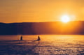 Snowmobile Safari And Ice-Fishing for Adults