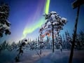 Arctic Night Snowmobile Sled Ride with Campfire, Levi