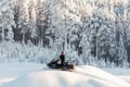Luxury Rovaniemi Safari Private Snow-Veh Tour with 3-Course Lunch