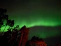 Aurora Hunting Tour for 2-6 Persons from Saariselka/Ivalo/Inari Area with a Local Guide and a New and Comfortable Multivan Hybridi