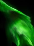 Aurora Hunting Tour for 2-6 Persons from Saariselka/Ivalo/Inari Area with a Local Guide and a New and Comfortable Multivan Hybridi