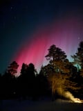 Aurora Hunting Tour for 2-6 Persons from Saariselka/Ivalo/Inari Area with a Local Guide and a New and Comfortable Multivan Hybridi
