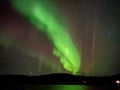 Aurora Hunting Tour for 2-6 Persons from Saariselka/Ivalo/Inari Area with a Local Guide and a New and Comfortable Multivan Hybridi