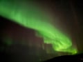 Aurora Hunting Tour for 2-6 Persons from Saariselka/Ivalo/Inari Area with a Local Guide and a New and Comfortable Multivan Hybridi