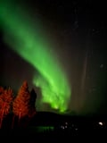 Aurora Hunting Tour for 2-6 Persons from Saariselka/Ivalo/Inari Area with a Local Guide and a New and Comfortable Multivan Hybridi