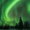 Insider Christmas and New Year Family Package