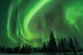 Insider Christmas and New Year Family Package