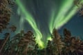 The night Hiking
